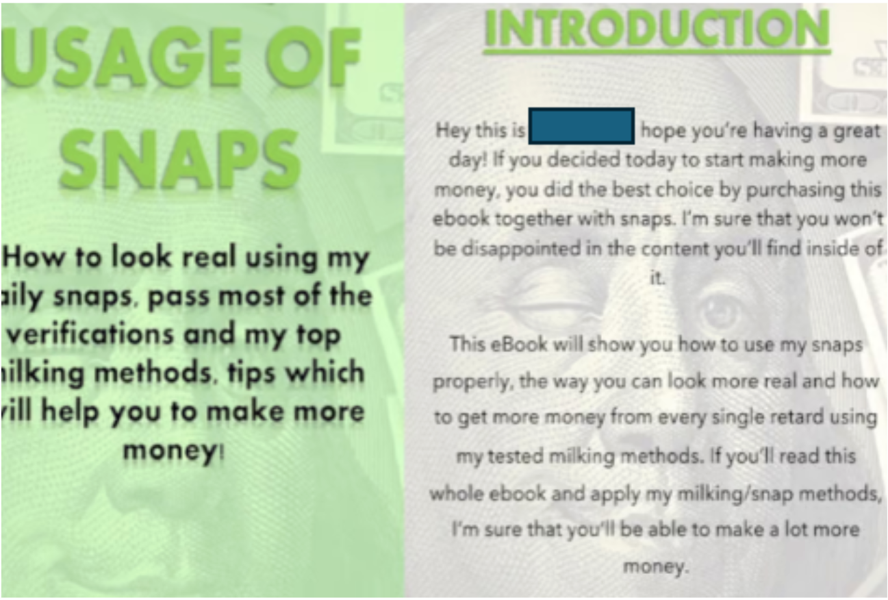 Usage of snaps